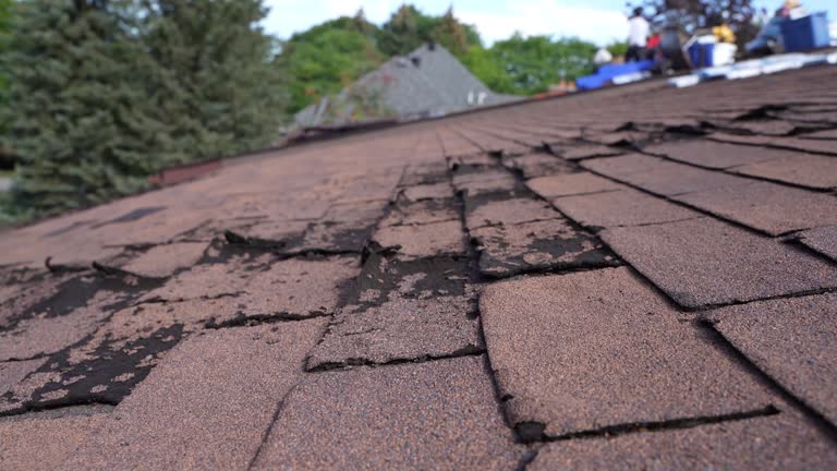 Best Rubber Roofing (EPDM, TPO)  in The Acreage, FL