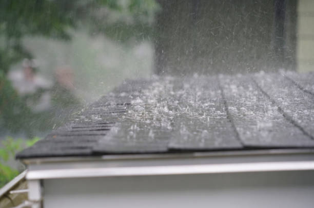 Best Asphalt Shingles Roofing  in The Acreage, FL